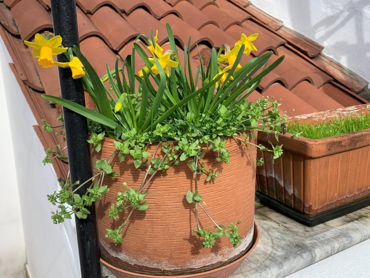 Rooftop Terrace Domus Dei Fabbri 베니스 외부 사진